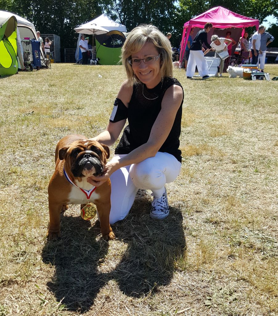 Bull's of Normandy Lara-croft - très prometteur/ meilleur puppy