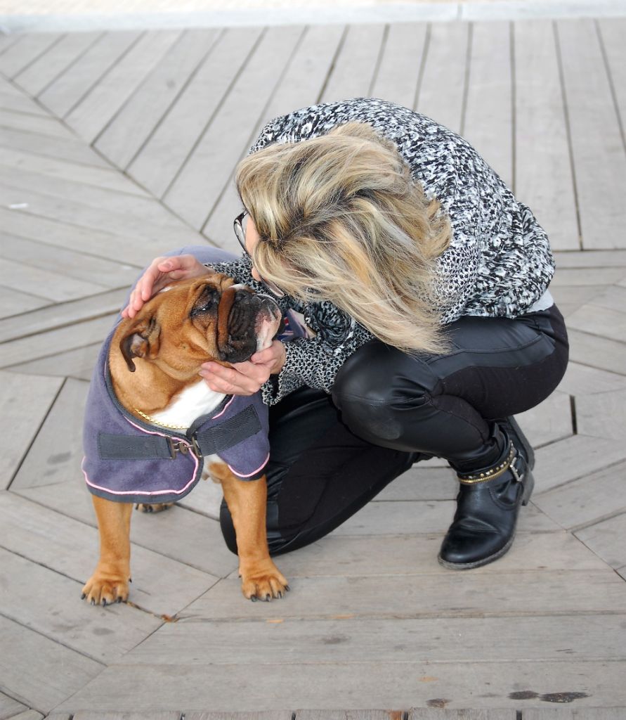 Bull's of Normandy Lara-croft - TB non classé / classe intermediaire