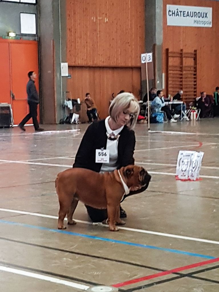 Bull's of Normandy Lara-croft - 3eme excellent classe intermediaire