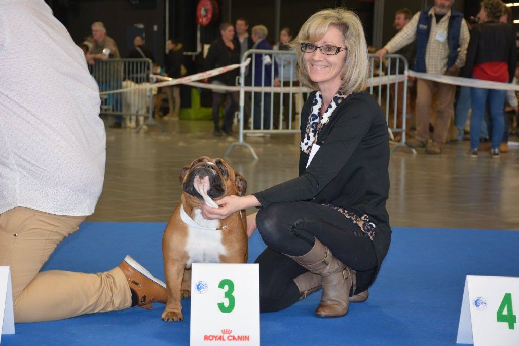 Bull's of Normandy Lara-croft - 3eme excellent classe intermediaire