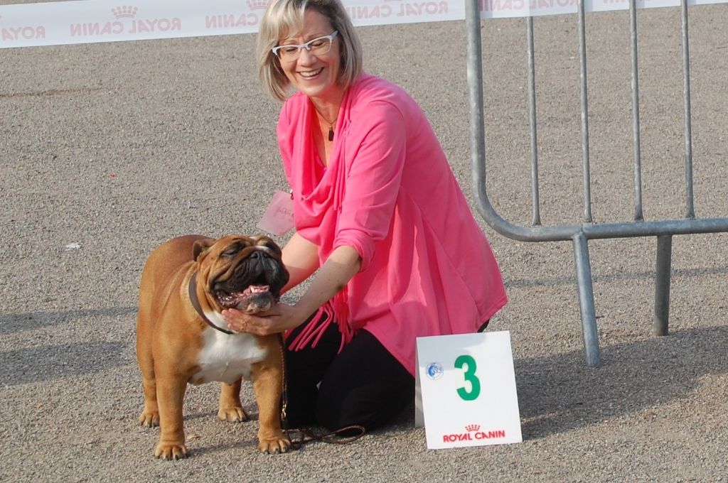 Bull's of Normandy Lara-croft - 3eme excellent/ classe intermediaire