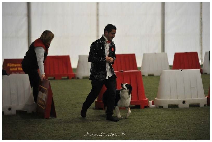 Publication : De La Voie Domitienne Auteur : JEAN-BAPTISTE Cédric