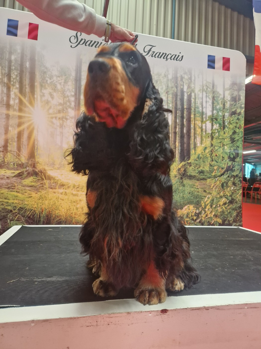 Publication : des Terres aux étangs Auteur : Marie Laure Chlpac