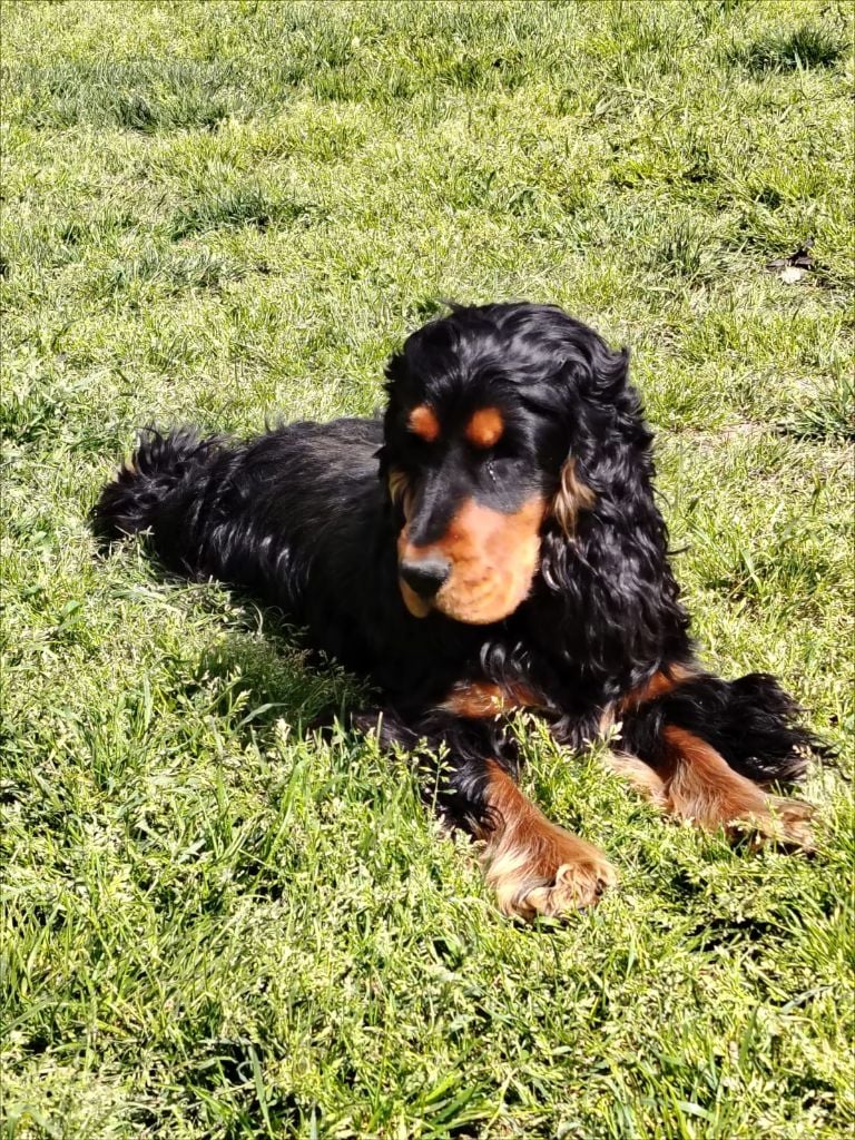 Vigile des Terres aux étangs