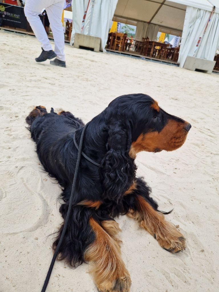 Vigile des Terres aux étangs