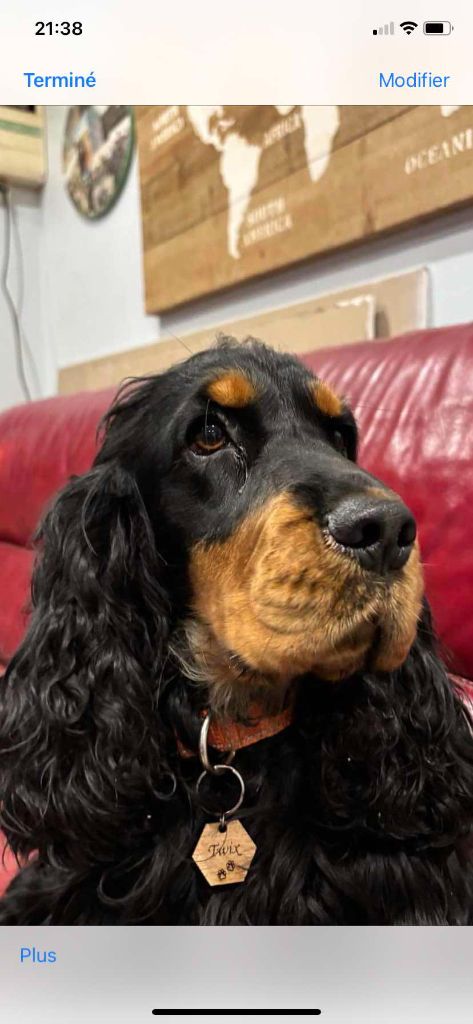 Vigile des Terres aux étangs