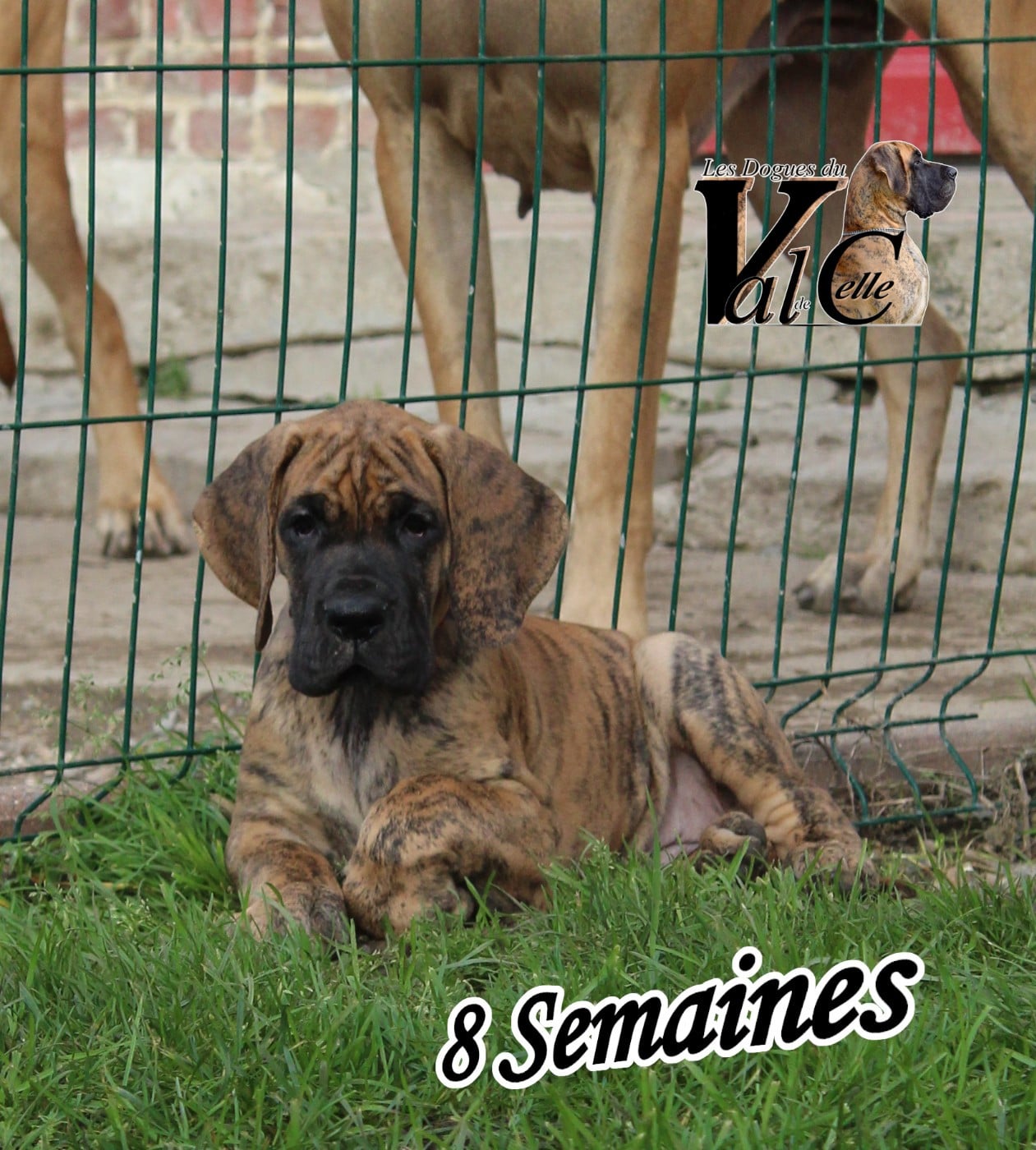 Publication : Du Val De Celle