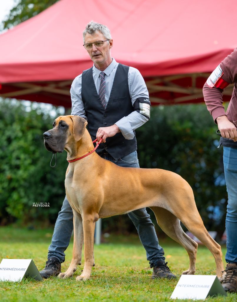 J.ch variation sur marilou Du Val De Celle