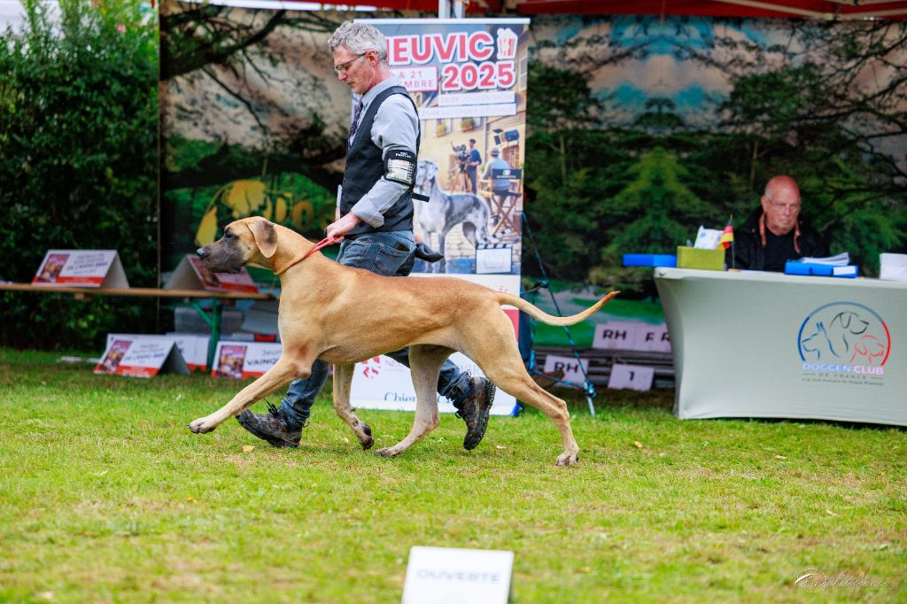 J.ch variation sur marilou Du Val De Celle