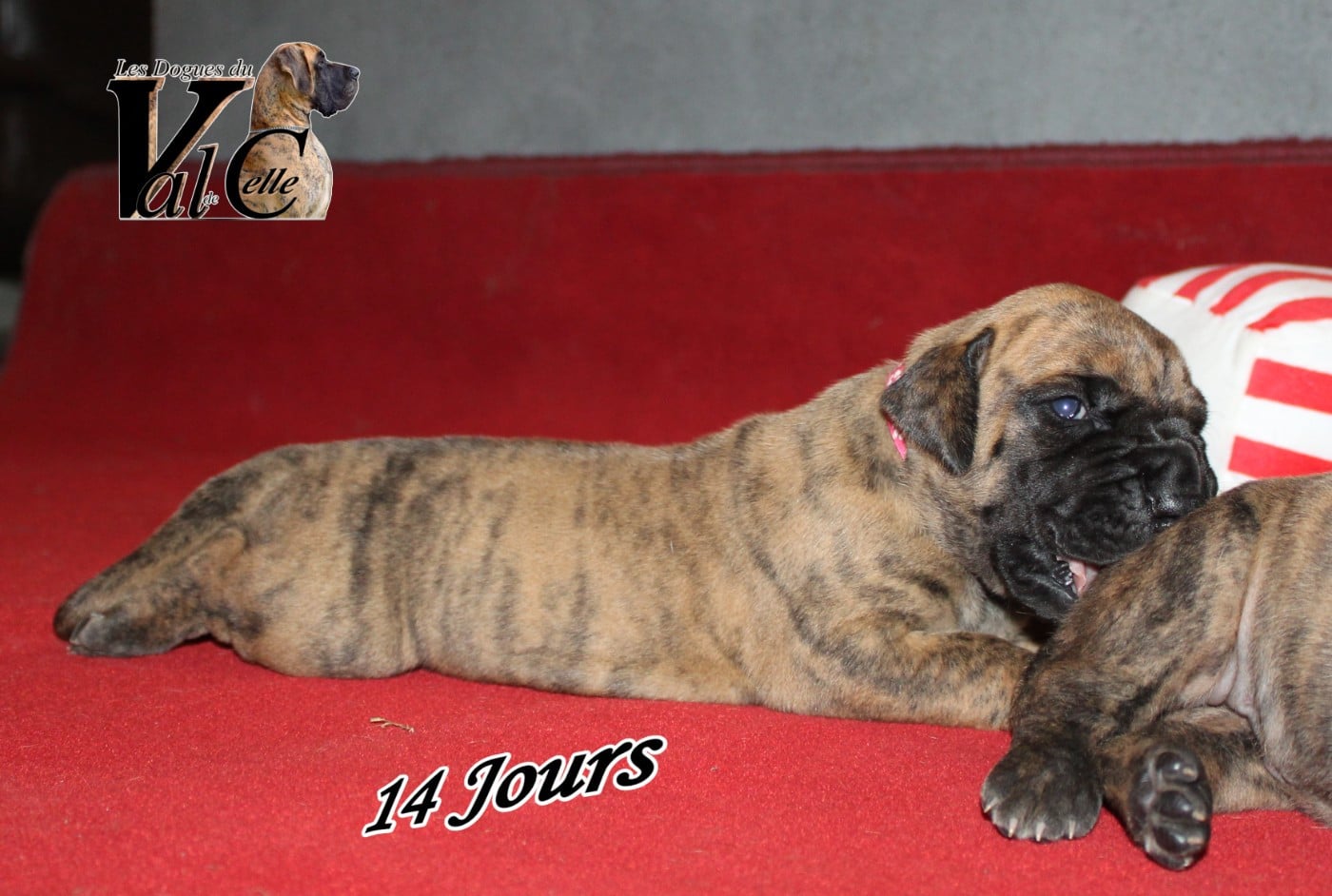 AUTHENTIQUE du Val de Celle