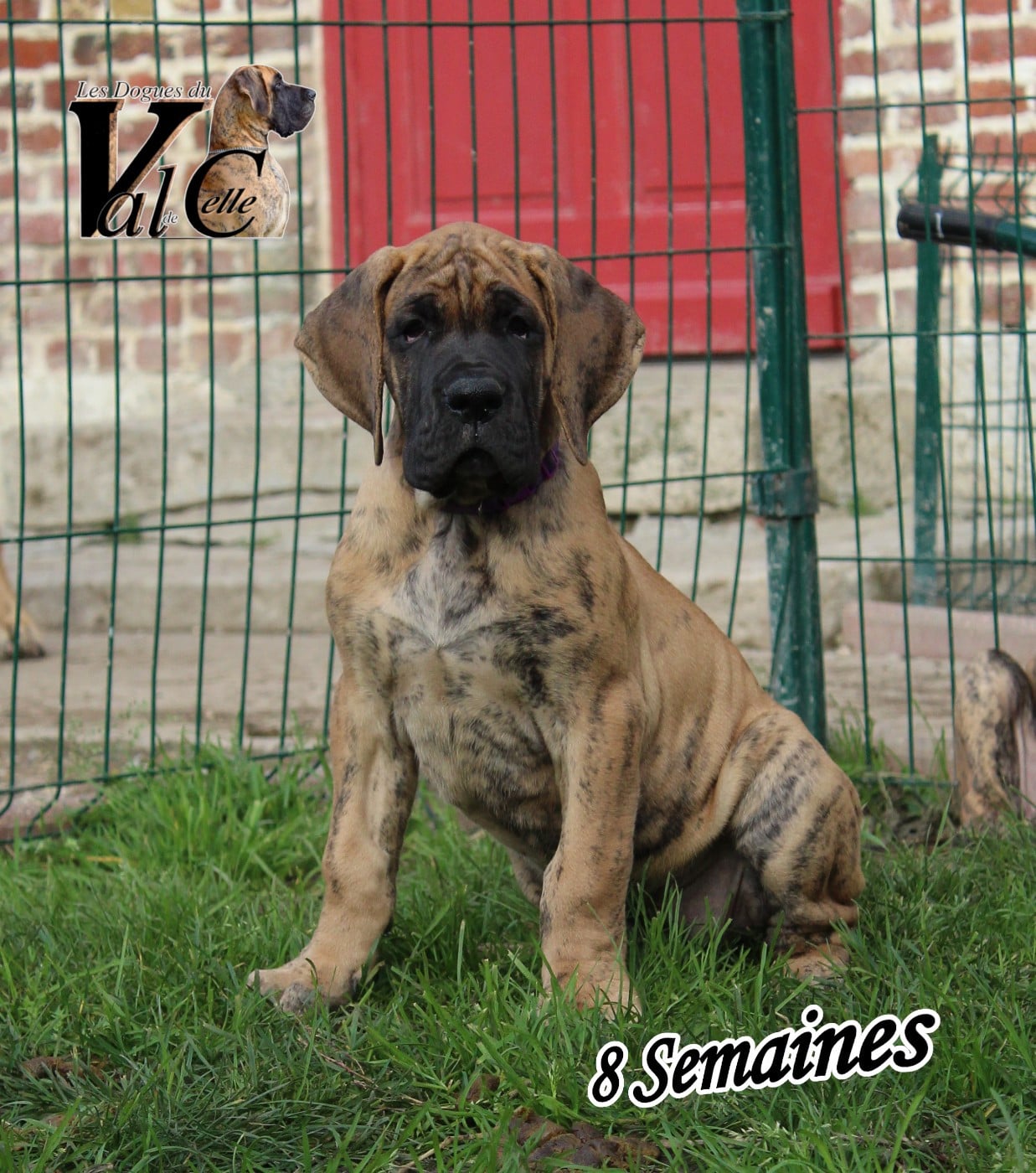 ALMA du Val de Celle