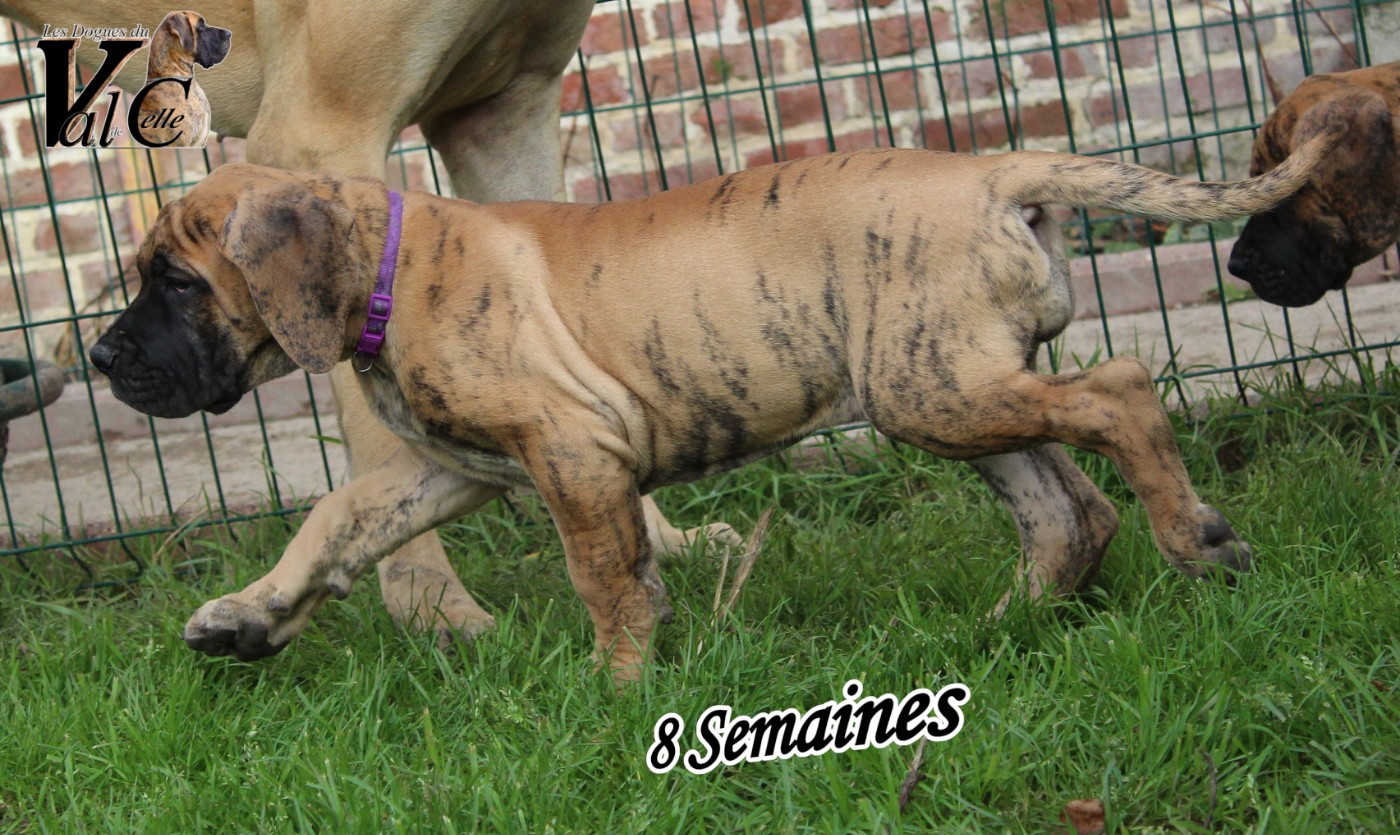 ALMA du Val de Celle