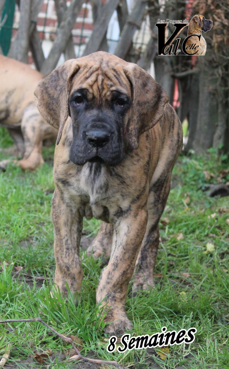 AUTHENTIQUE du Val de Celle