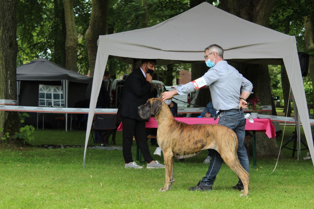 CH. Nina Du Val De Celle - -