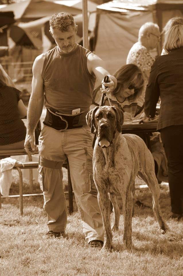 CH. Nina Du Val De Celle - -