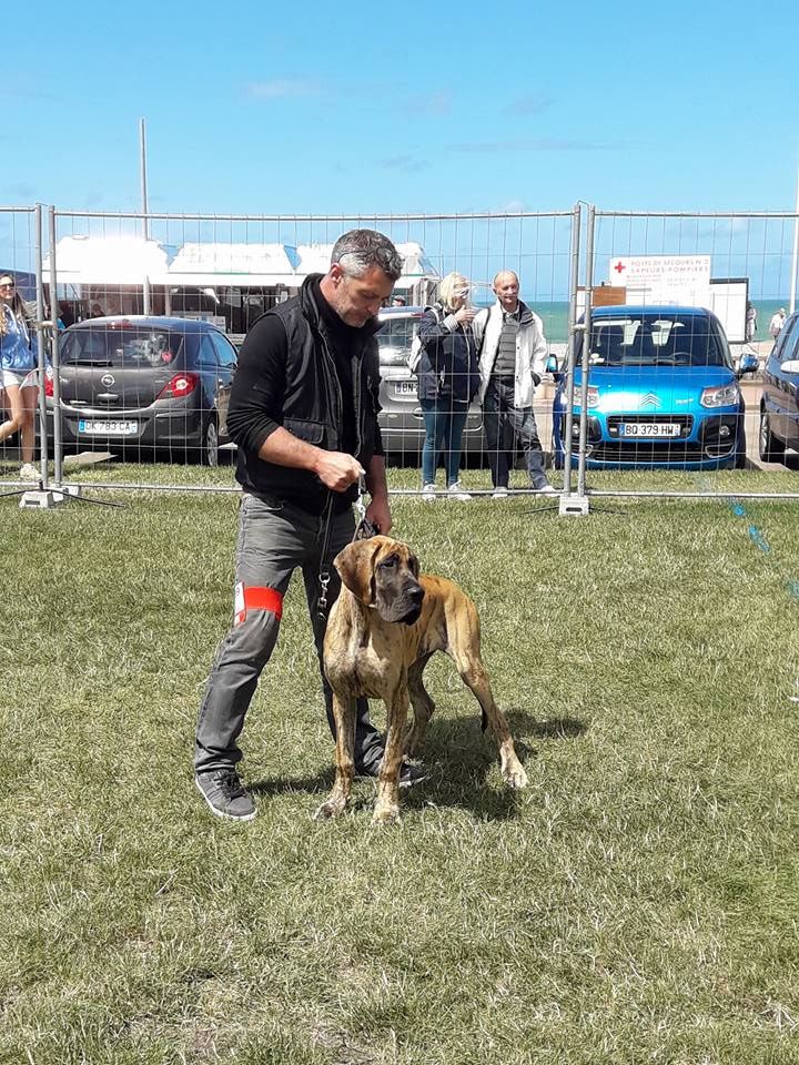 CH. Nina Du Val De Celle - classe baby : TRES PROMETTEUR