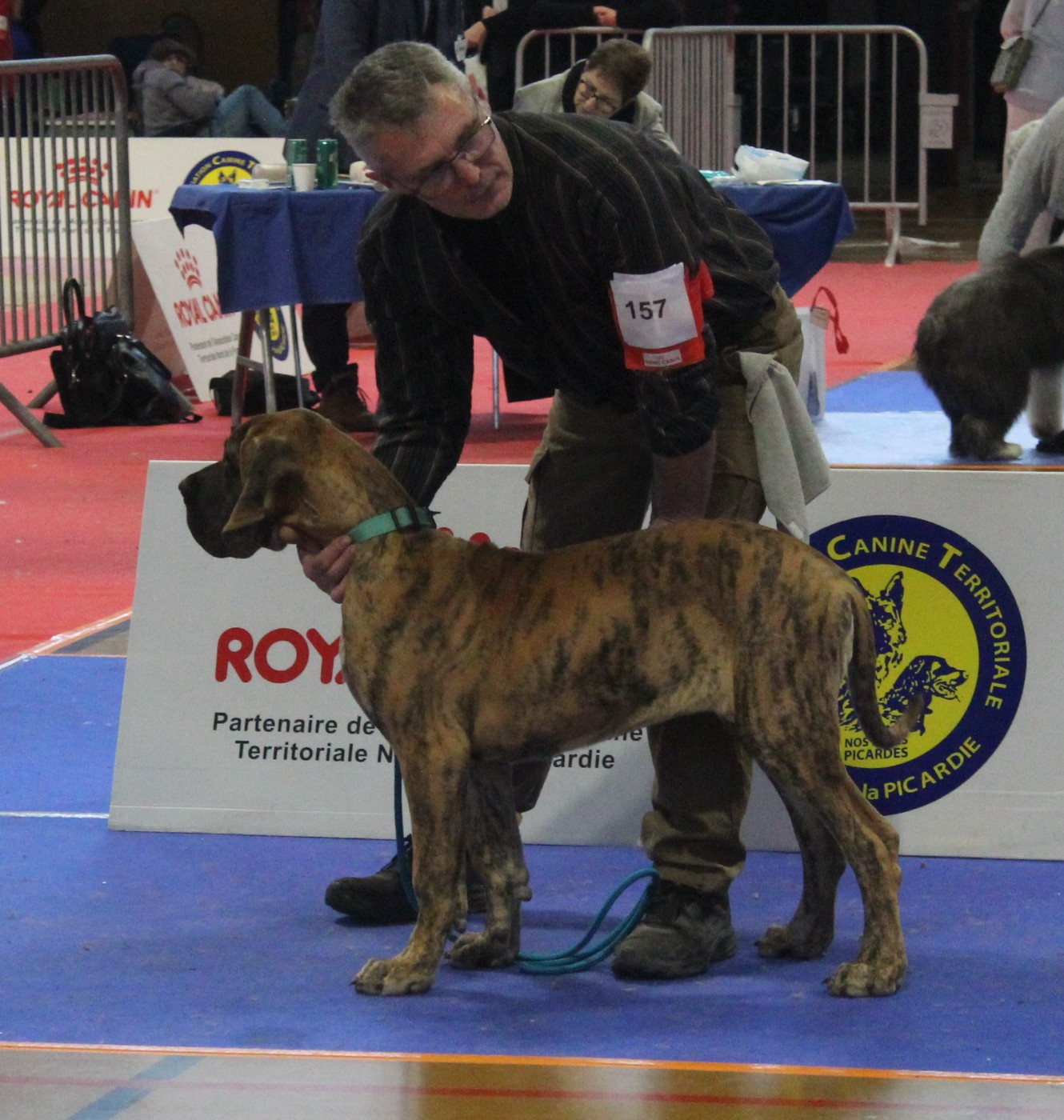 Authentique Du Val De Celle - 1 Très Prometteur . Meillleur Baby.
