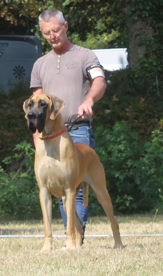 CH. Variation sur Marilou Du Val De Celle - Classe Champion 1er Excellent