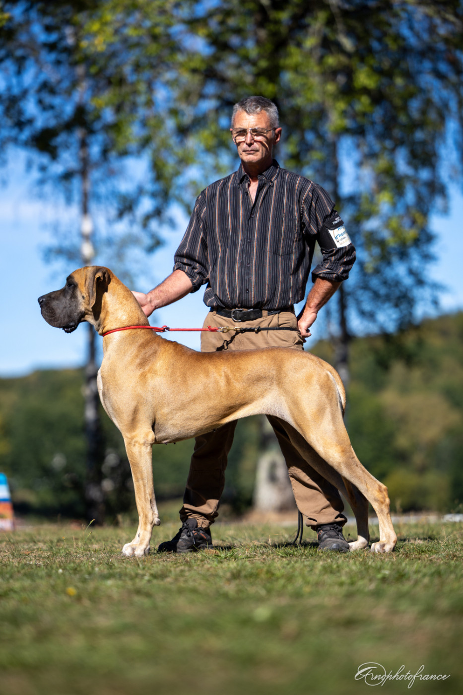 CH. Variation sur Marilou Du Val De Celle - .Classe Champion . 1er Excellent . Ring d'Honneur