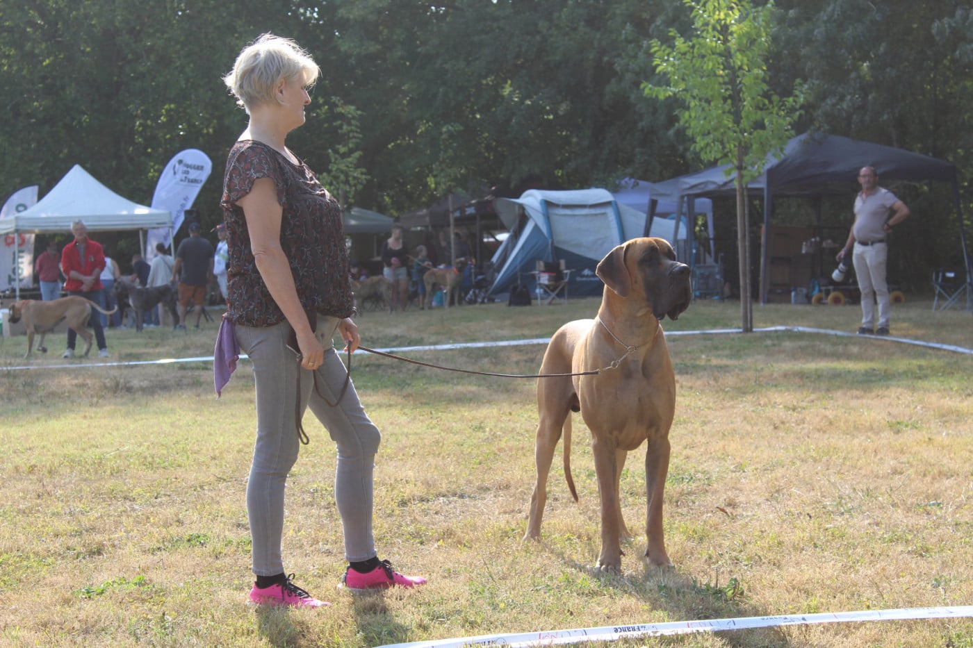 CH. Val-Willo Du Val De Celle - Classe Champion . 1er excellent