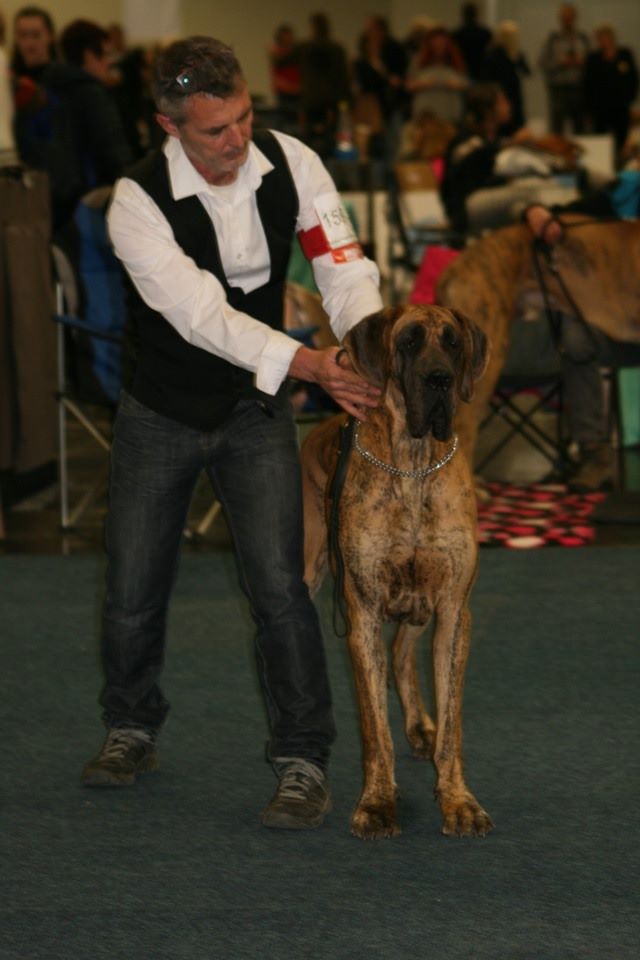 CH. Nina Du Val De Celle - -