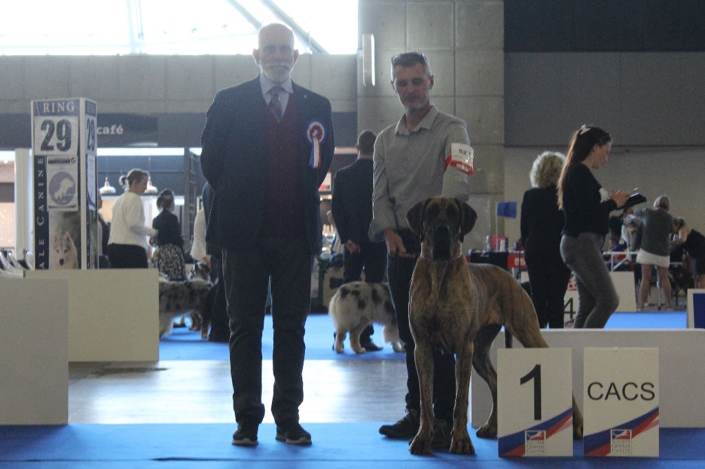 CH. Nina Du Val De Celle - -