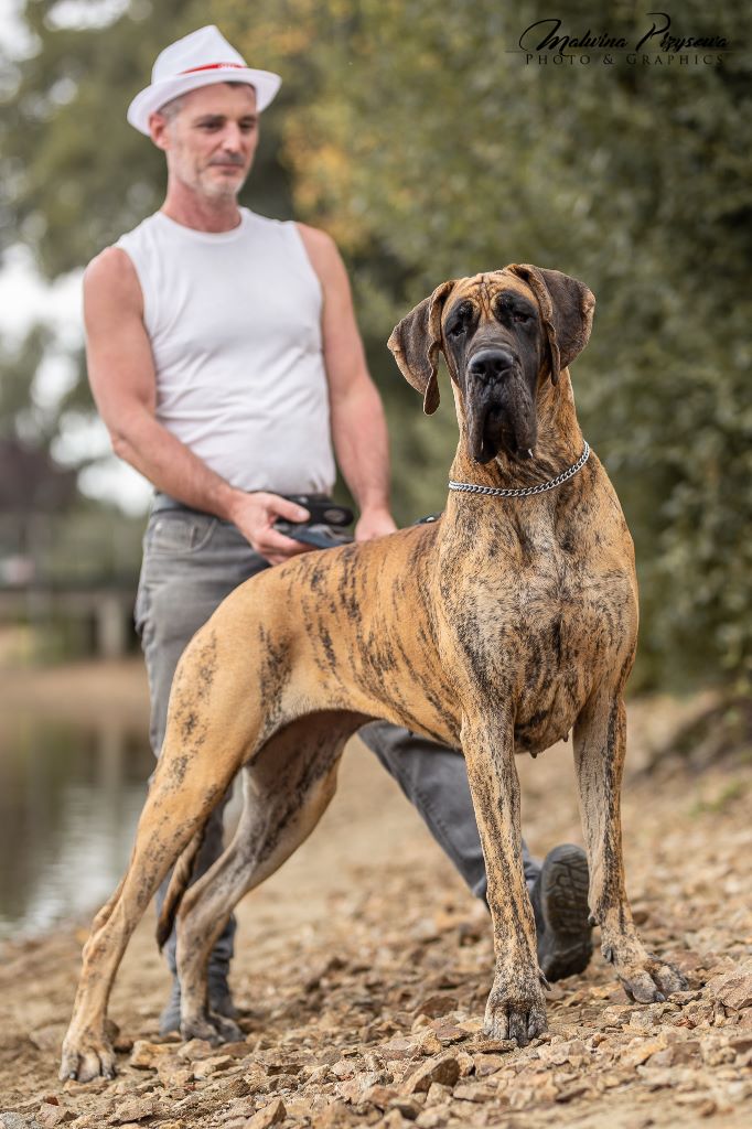 CH. Nina Du Val De Celle - -