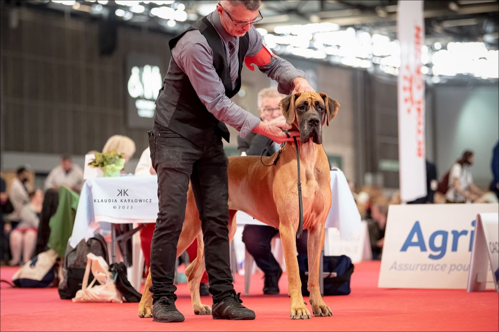 CH. Requiem Du Val De Celle - 1 Exc - CACS