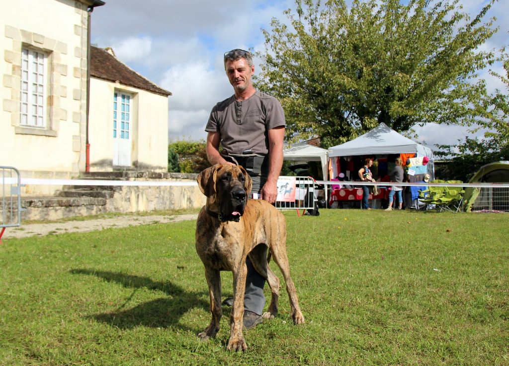 CH. Nina Du Val De Celle - CLASSE BABY : PROMETTEUR