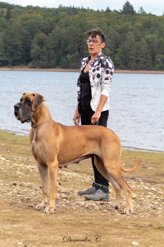 CH. Requiem Du Val De Celle - Classe Champion - 1 Exc -CACIB