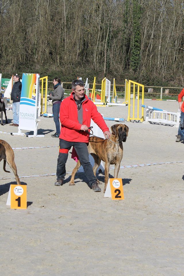 CH. Nina Du Val De Celle - -