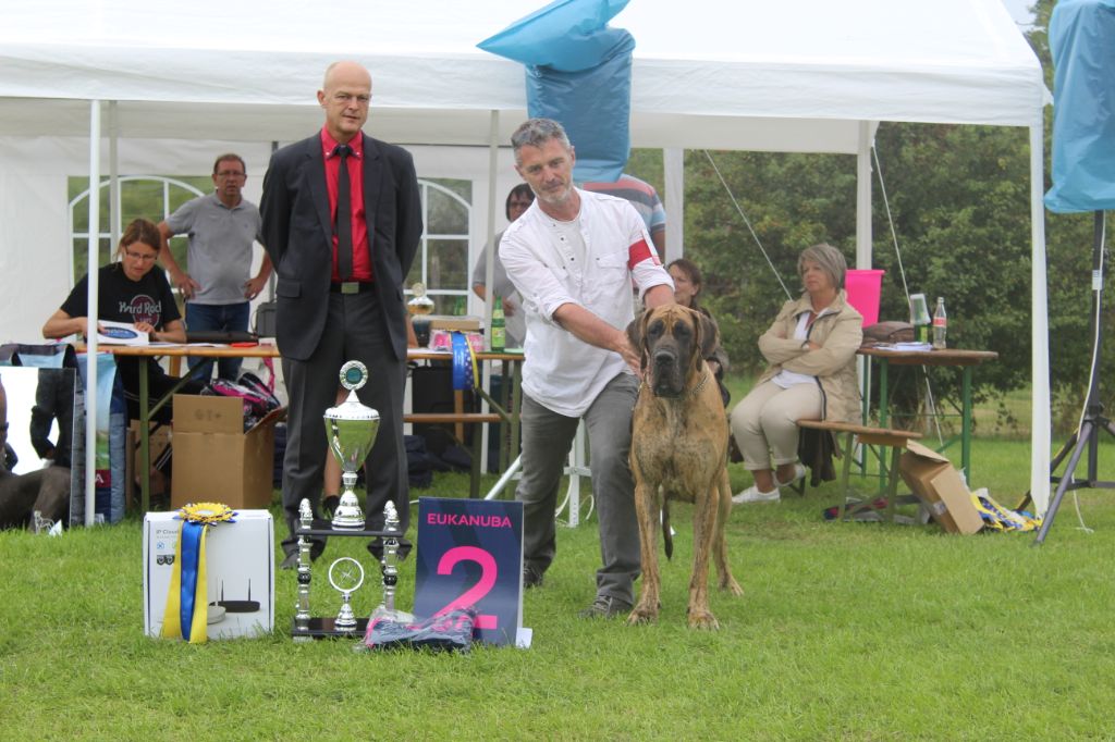 CH. Nina Du Val De Celle - -