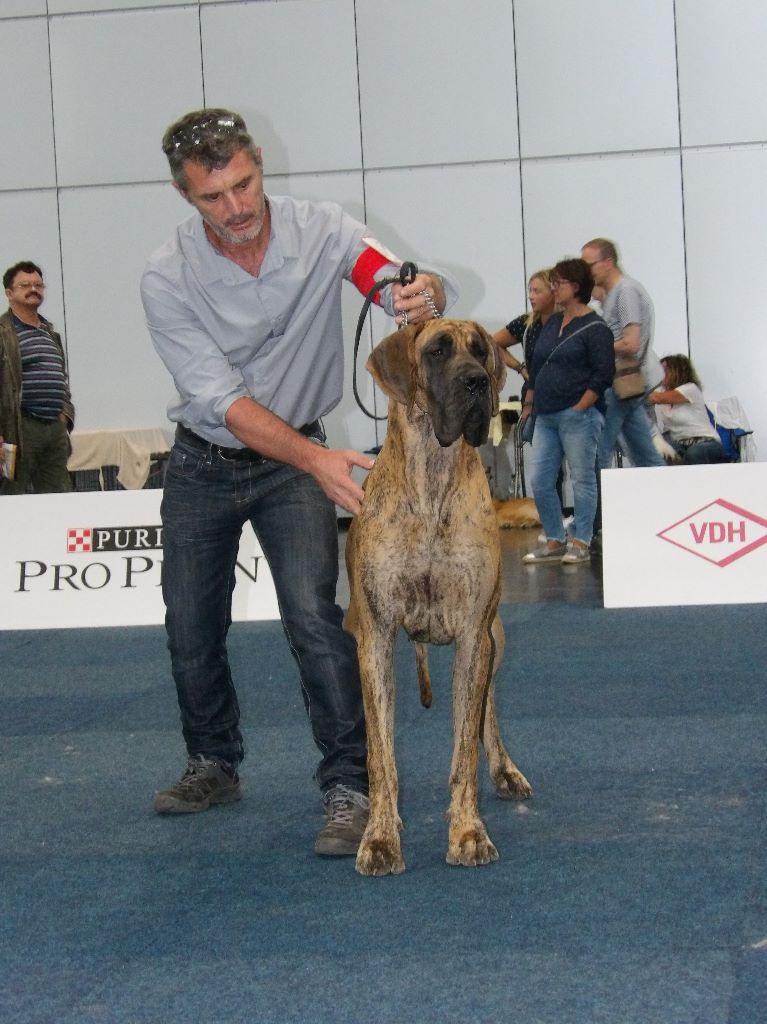 CH. Nina Du Val De Celle - -