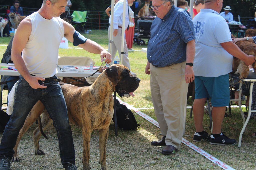 CH. Nina Du Val De Celle - -