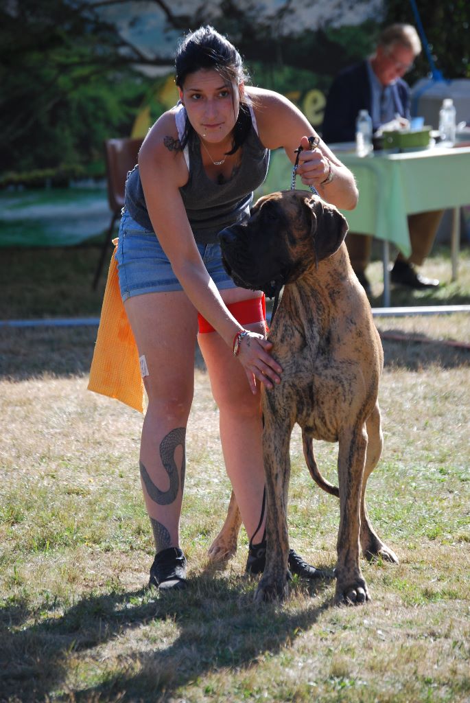 CH. Nina Du Val De Celle - -