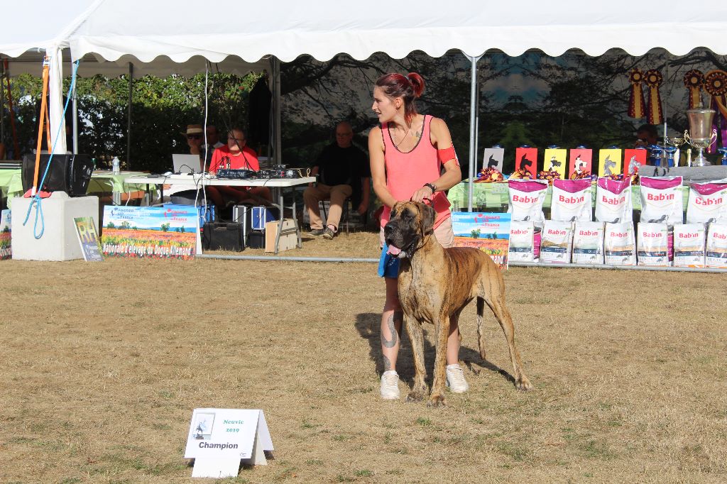 CH. Nina Du Val De Celle - -