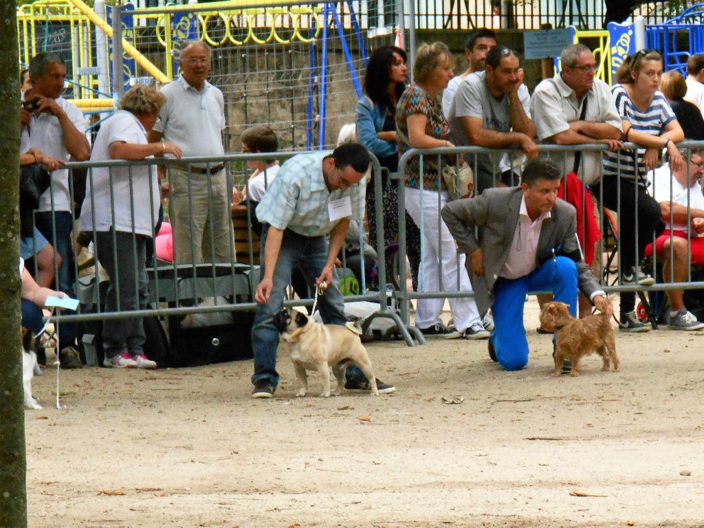 Publication : Du Domaine De La Pénide
