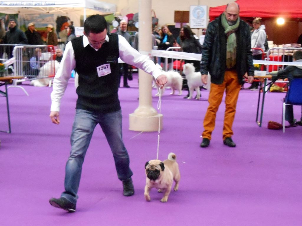 Publication : Du Domaine De La Pénide