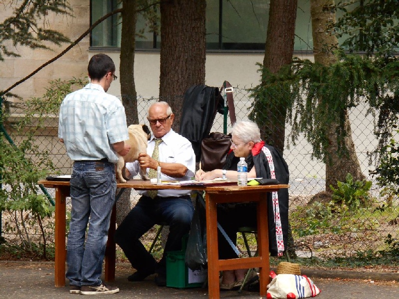 Publication : Du Domaine De La Pénide