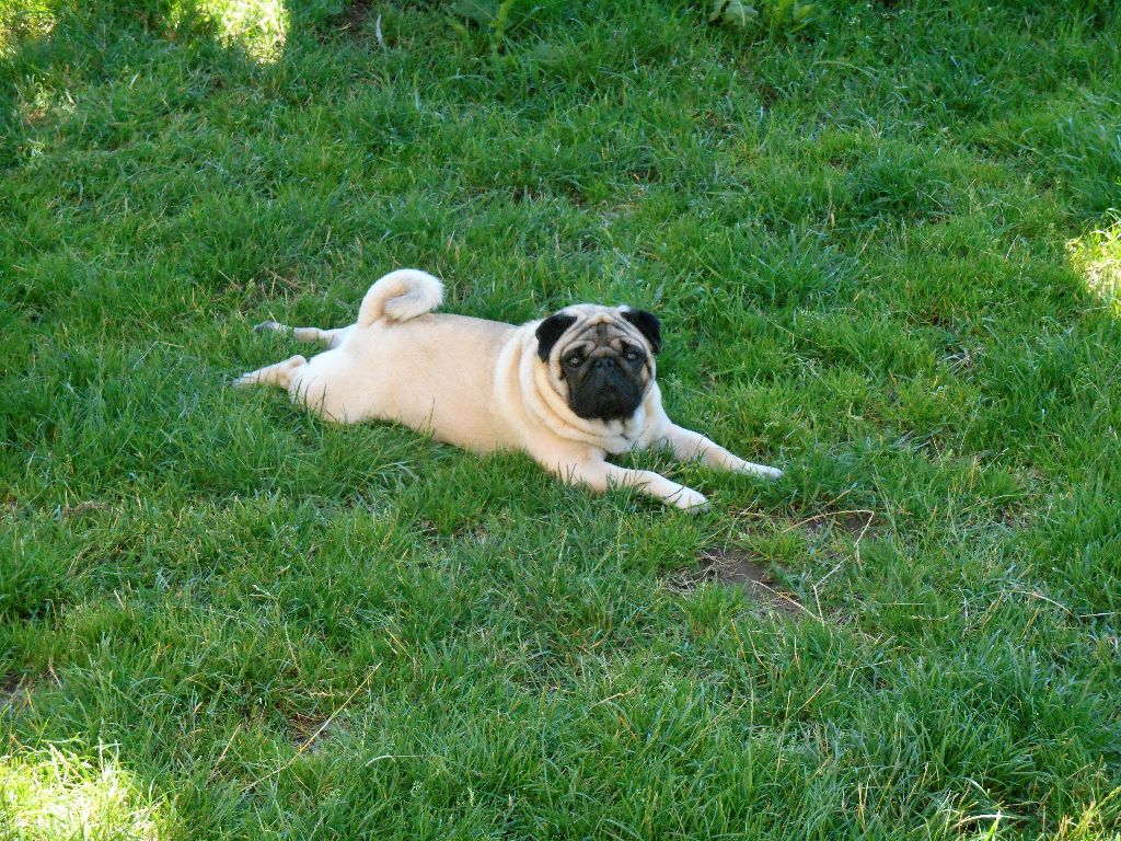 Publication : Du Domaine De La Pénide