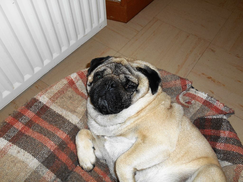 Publication : Du Domaine De La Pénide