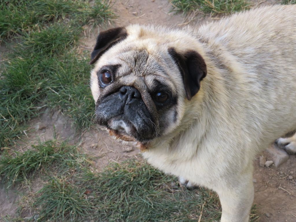 Publication : Du Domaine De La Pénide