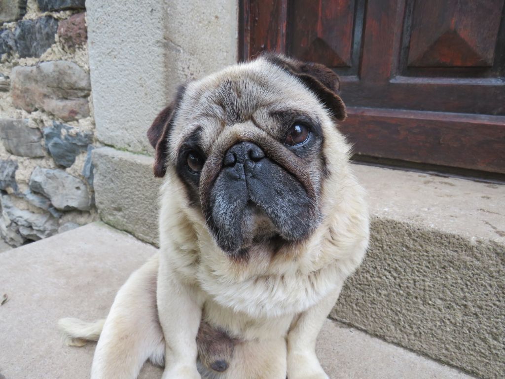 Publication : Du Domaine De La Pénide