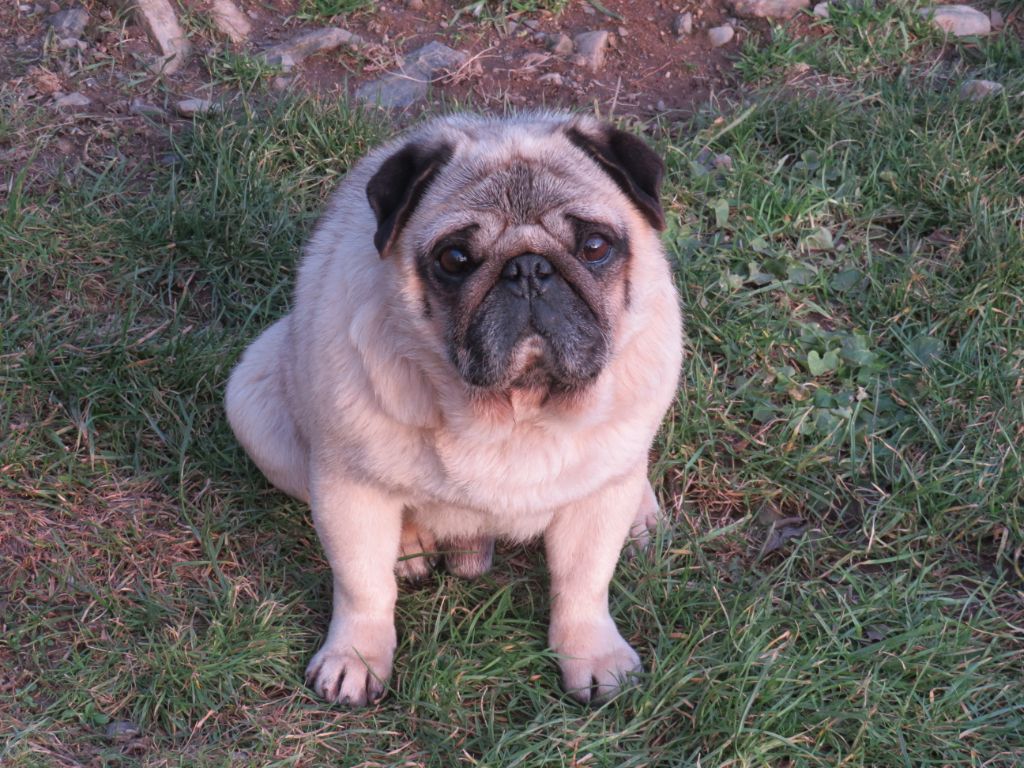 Publication : Du Domaine De La Pénide