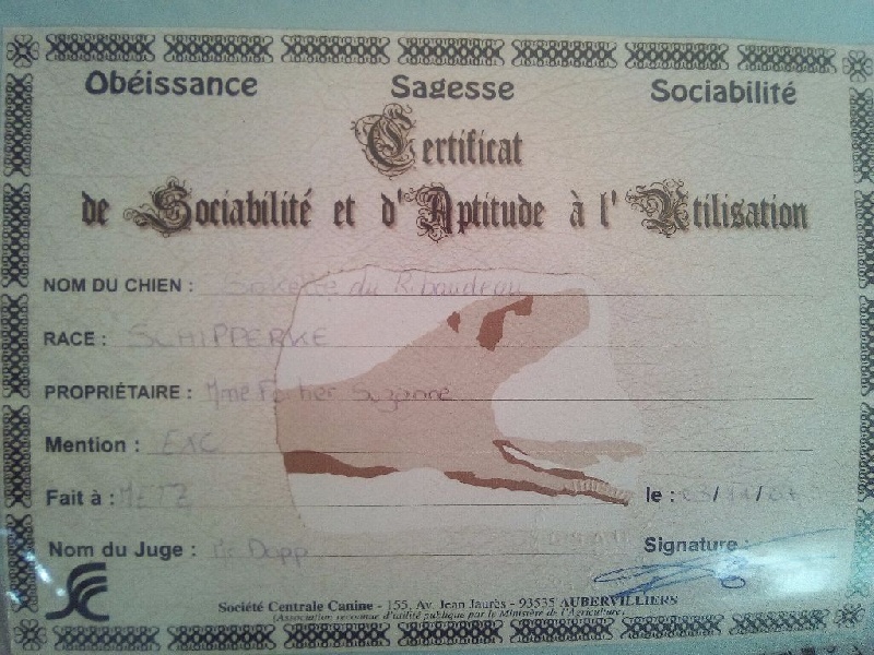 Salsa dite sokett Du Ribaudeau - CSAU Mention Excellent