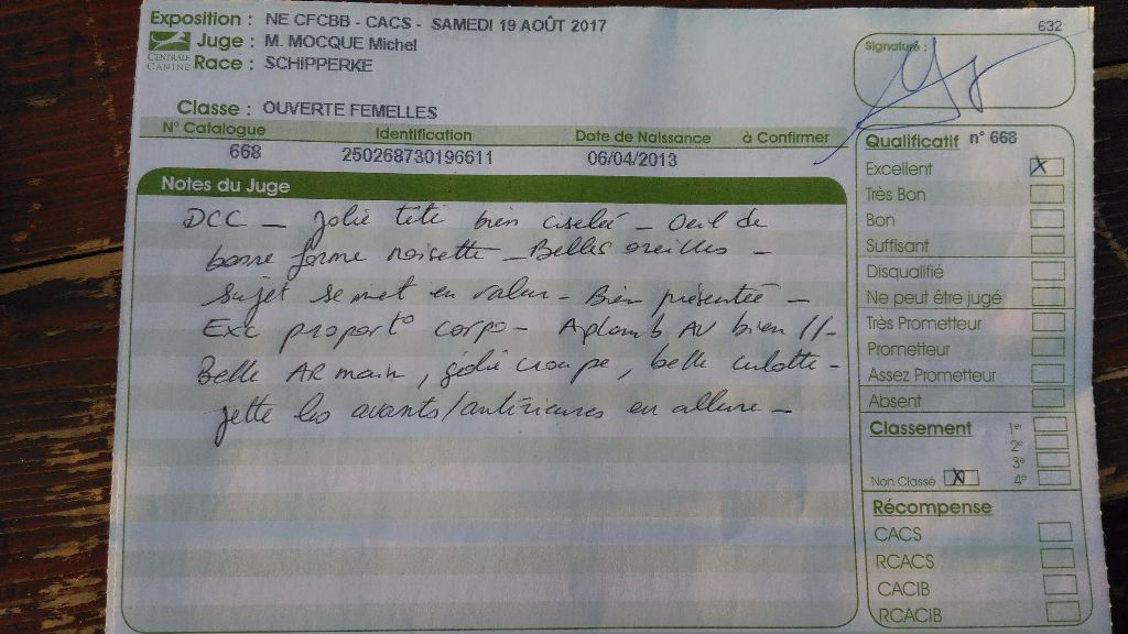 Iolite des perles noires - Excellent. NC