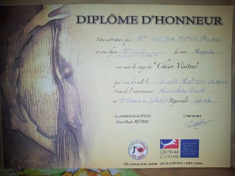 Iolite des perles noires - Chien Visiteur