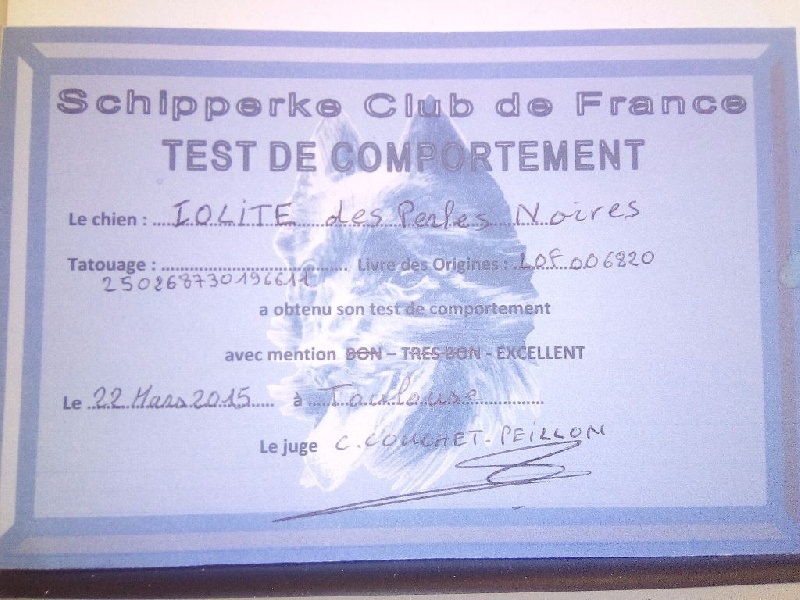 Iolite des perles noires - TAN