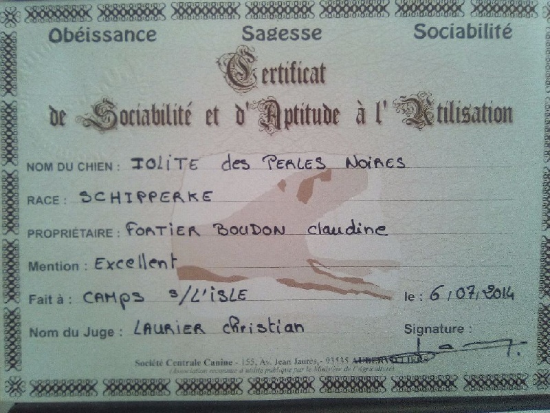 Iolite des perles noires - CSAU