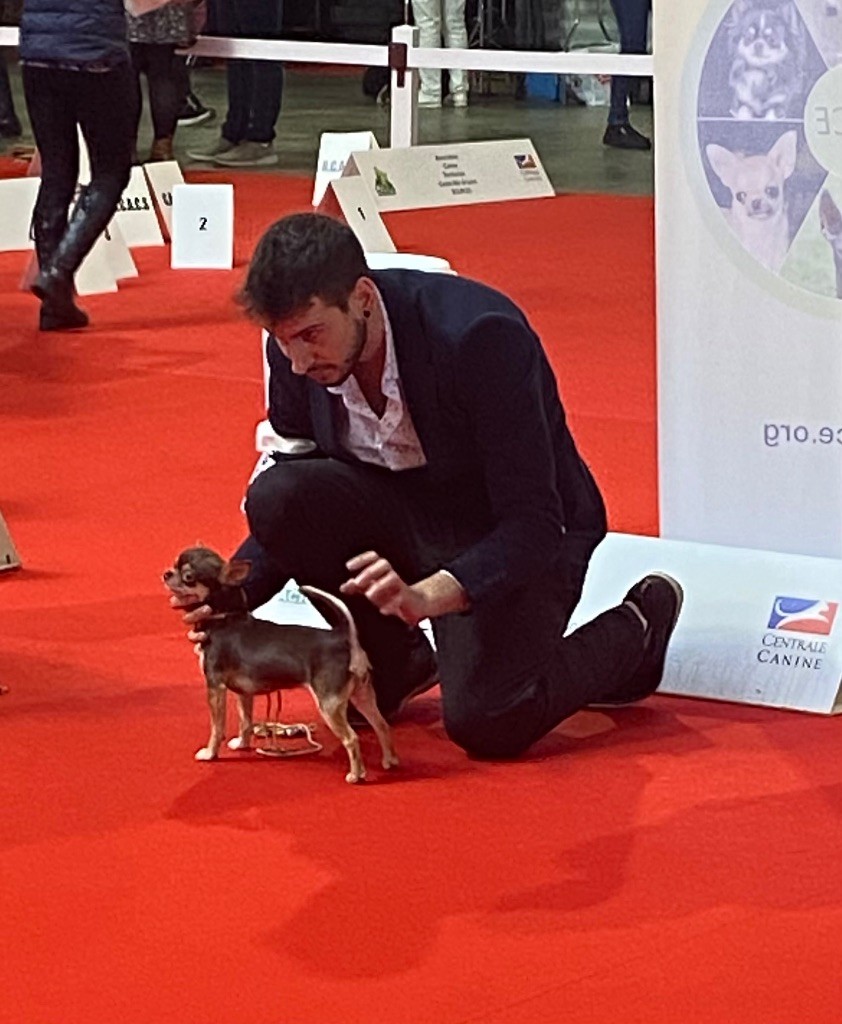 Tamia sibiricus Des Petits Coeurs De Pirate - Classe Jeune - Excellent